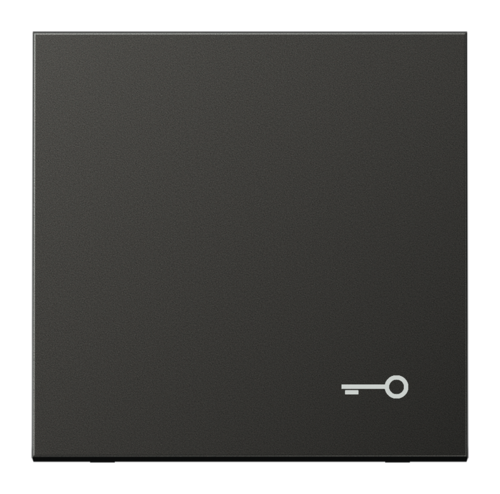 Клавиша JUNG LS METAL, антрацит