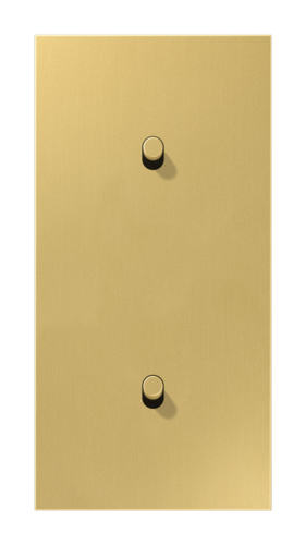 Накладка тумблера JUNG LS1912, латунь