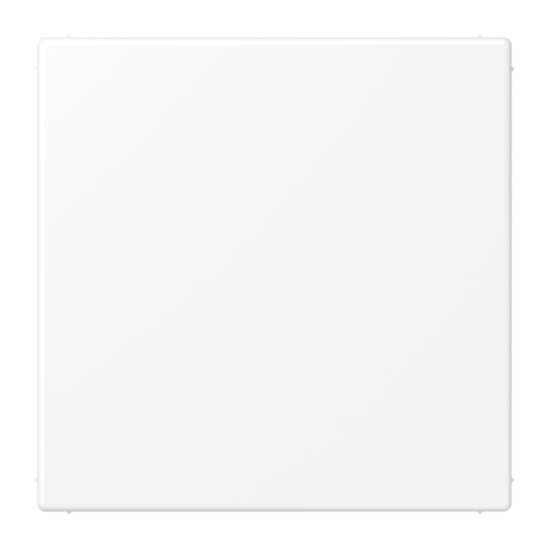 LS990 Заглушка, цвет Матовый белый