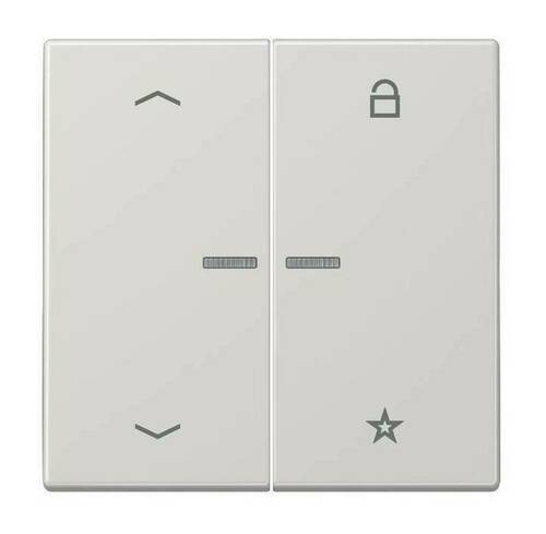 Накладка на жалюзийный выключатель Jung LS 990, светло-серый, LS1701PLG