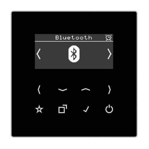 Цифровое радио Jung LS 990, с дисплеем, электронный, черный, DABLSBTSW