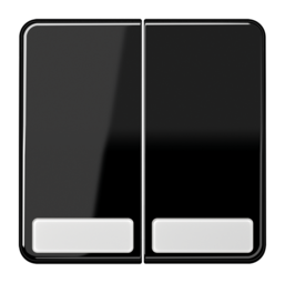 Клавиша двойная JUNG CD 500, черный